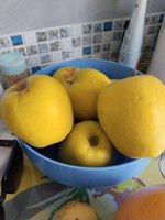 Фото и видео покупателей