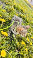 Фото и видео покупателей