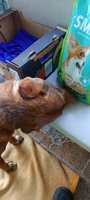 Фото и видео покупателей