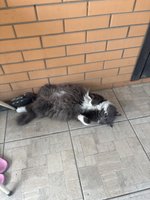 Фото и видео покупателей
