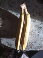 Фото и видео покупателей