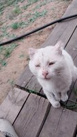 Фото и видео покупателей