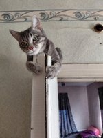 Фото и видео покупателей
