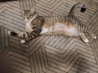 Фото и видео покупателей