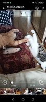 Фото и видео покупателей