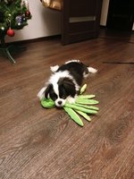 Фото и видео покупателей