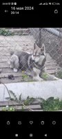 Фото и видео покупателей