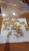 Фото и видео покупателей