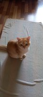 Фото и видео покупателей