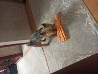 Фото и видео покупателей
