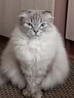 Фото и видео покупателей