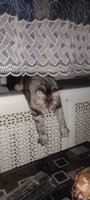 Фото и видео покупателей