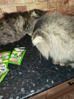 Фото и видео покупателей