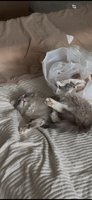 Фото и видео покупателей