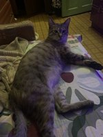 Фото и видео покупателей