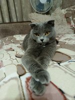 Фото и видео покупателей