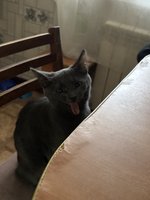 Фото и видео покупателей