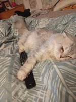 Фото и видео покупателей