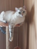Фото и видео покупателей