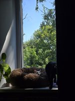 Фото и видео покупателей