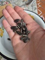 Фото и видео покупателей