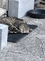 Фото и видео покупателей