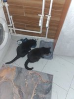 Фото и видео покупателей