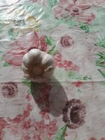 Фото и видео покупателей