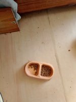 Фото и видео покупателей