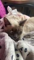 Фото и видео покупателей