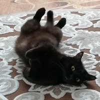 Фото и видео покупателей