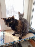 Фото и видео покупателей