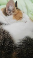 Фото и видео покупателей