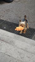 Фото и видео покупателей