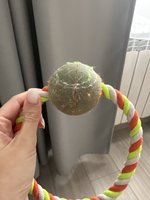 Фото и видео покупателей