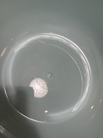 Фото и видео покупателей