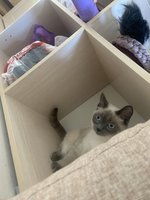 Фото и видео покупателей