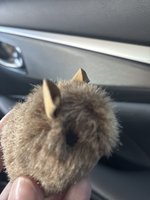 Фото и видео покупателей