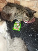 Фото и видео покупателей