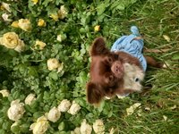 Фото и видео покупателей