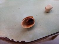 Фото и видео покупателей