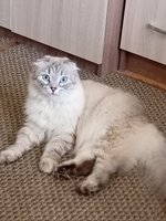 Фото и видео покупателей