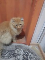 Фото и видео покупателей