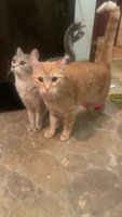 Фото и видео покупателей