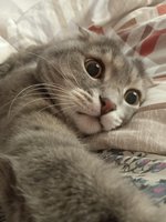 Фото и видео покупателей