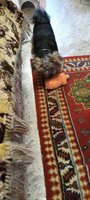 Фото и видео покупателей