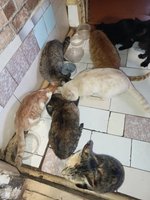 Фото и видео покупателей