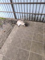 Фото и видео покупателей