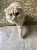 Фото и видео покупателей