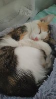 Фото и видео покупателей